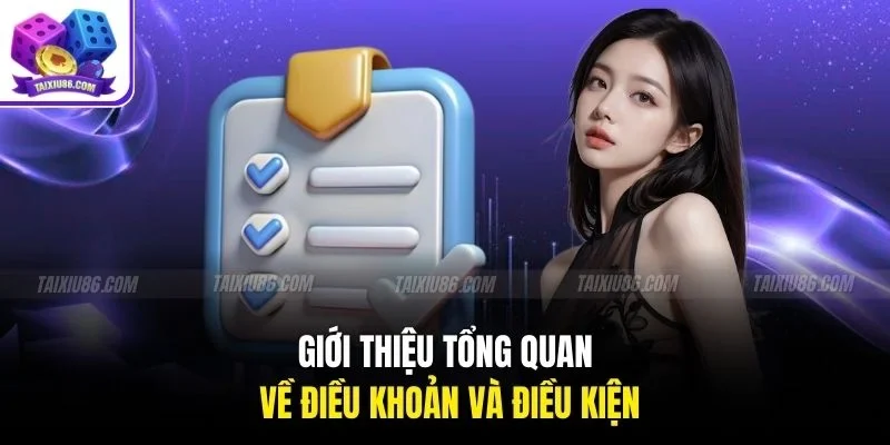 Giới thiệu tổng quan về điều khoản và điều kiện