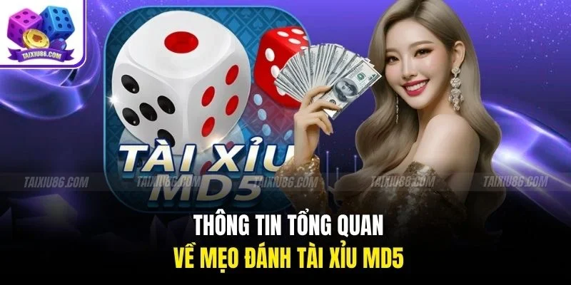 Thông tin tổng quan về mẹo đánh tài xỉu md5